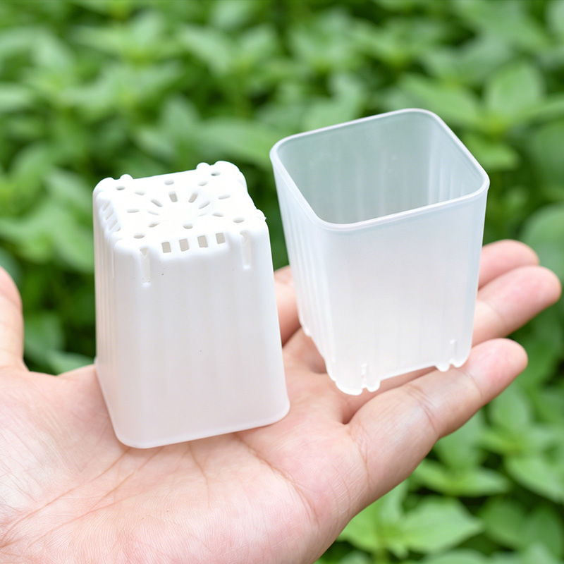 Food Storage Plants - 50-100 шт. мини-горшечков 4 см, утолщенных,