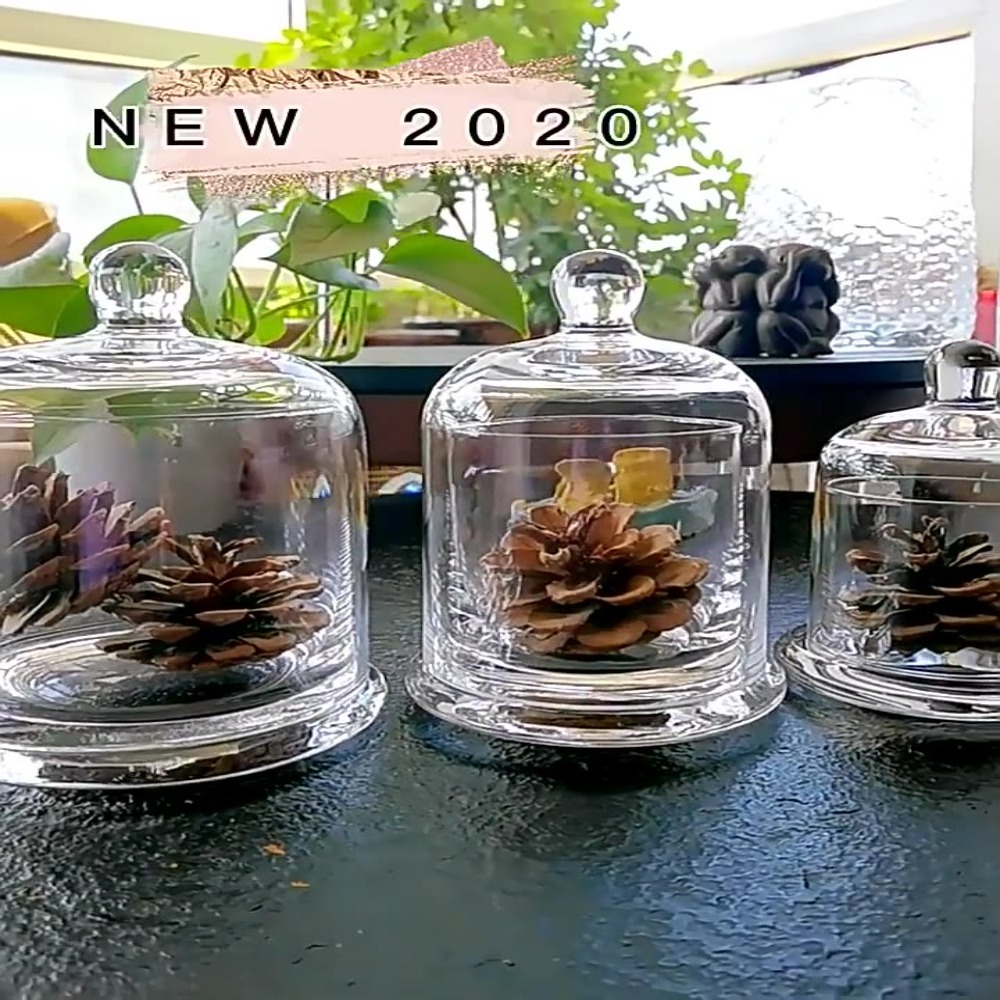 Food Storage Plants - Стеклянная банка для хранения, цветок вечной