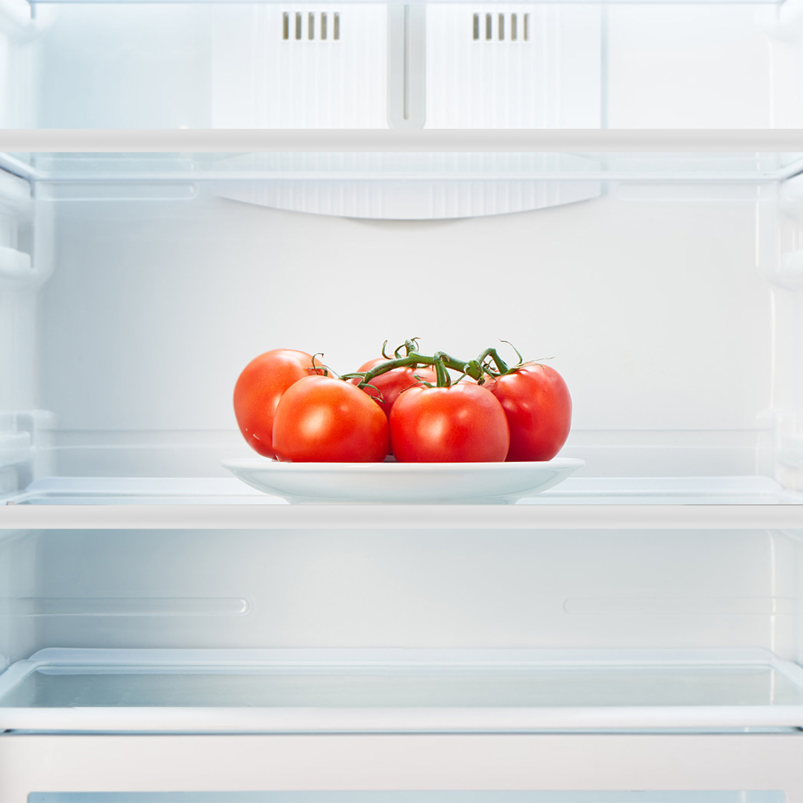 Полка-разделитель для холодиль – обзор и цена Food Storage With Dividers