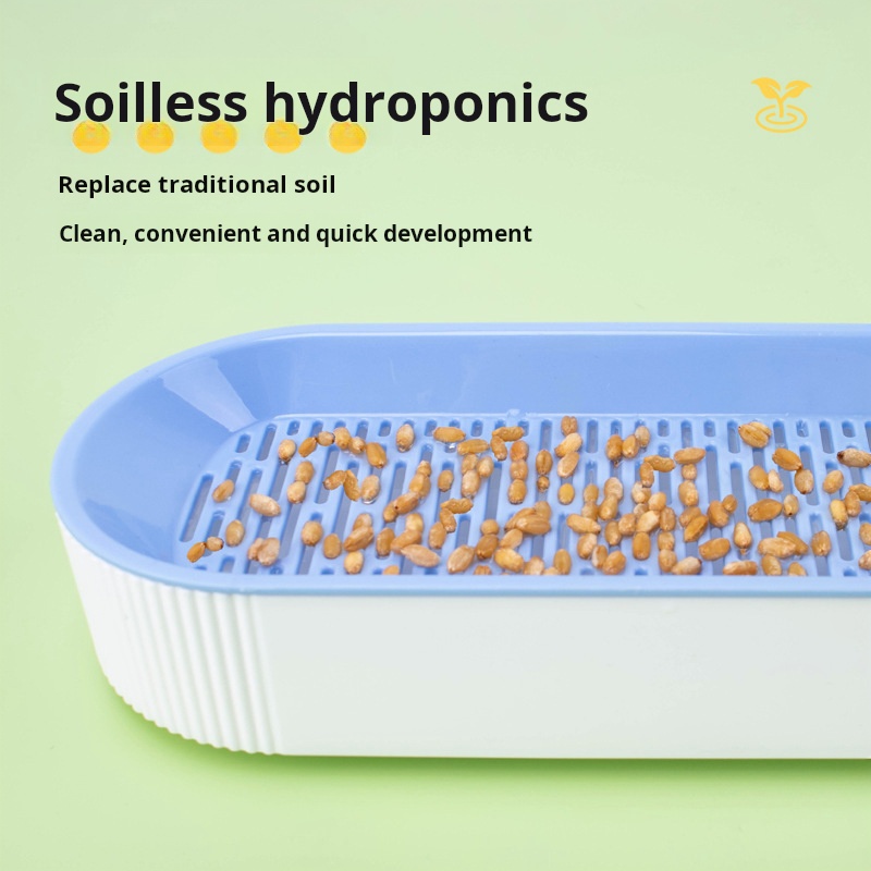 Набор для выращивания кошачьей – обзор и цена Food Storage Plants