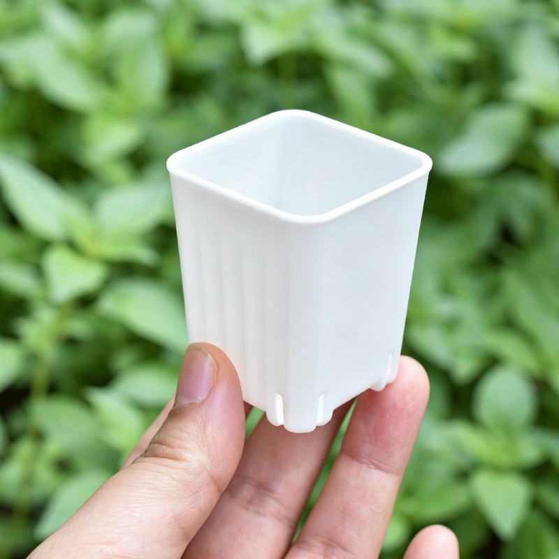 50-100 шт. мини-горшечков 4 см – обзор и цена Food Storage Plants