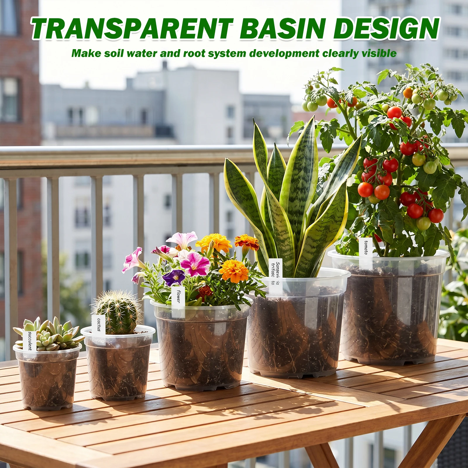 25 шт. прозрачных пластиковых  – обзор и цена Food Storage Plants