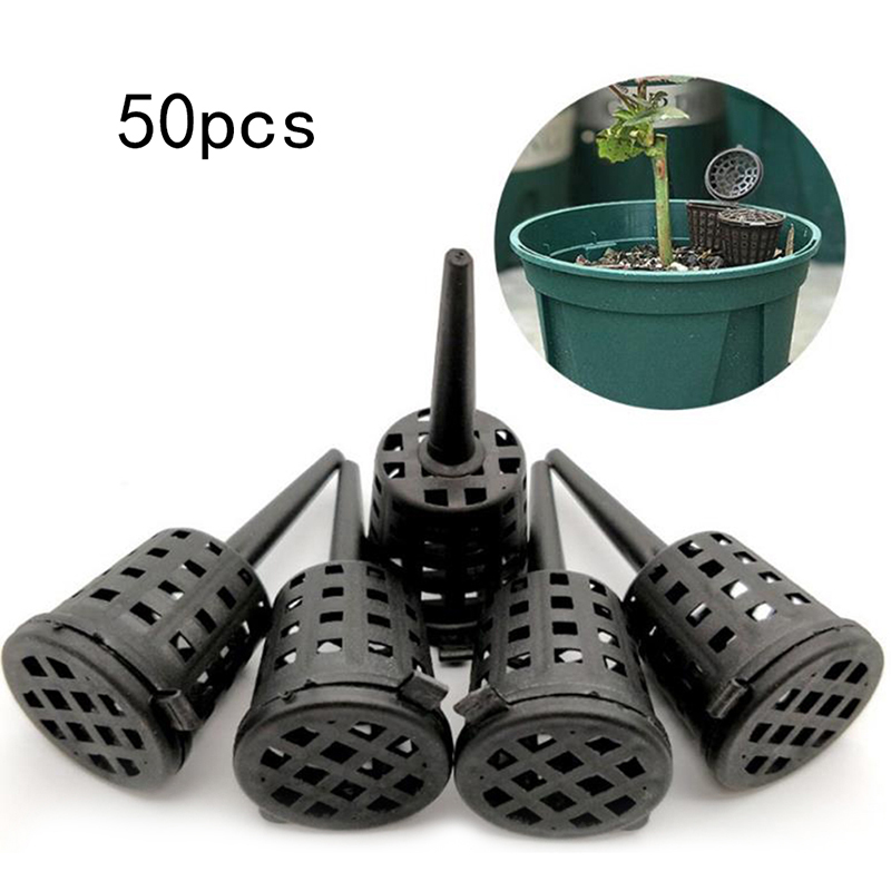 50 шт./упаковка, корзина для у – обзор и цена Food Storage Plants